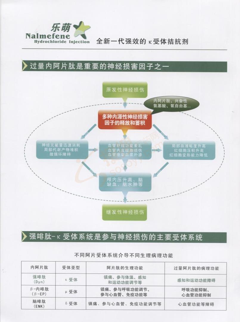 盐酸纳美芬注射液